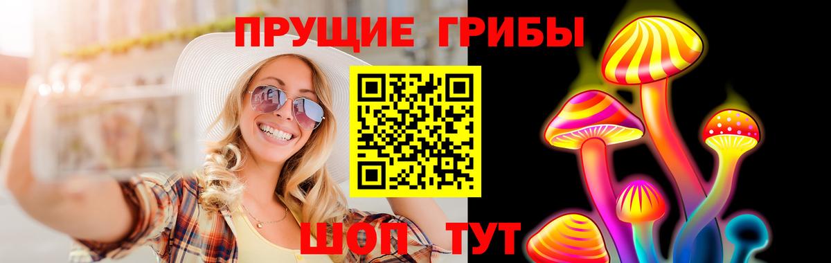 Ноябрьск  купить  цена  Вход с VPN  Галлюциногенные грибы Psilocybe 